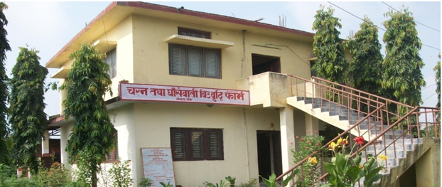 Office Building